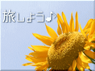 ʼ˸٤ιݥåȡɤʤɤξܢ