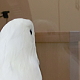 뤤